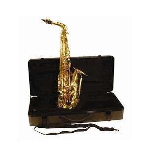  Roy Benson BAS 101 Alto Saxophone Kit Musical Instruments