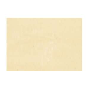  Mount Vision Soft Pastel   Box of 5   Buttercup 294 