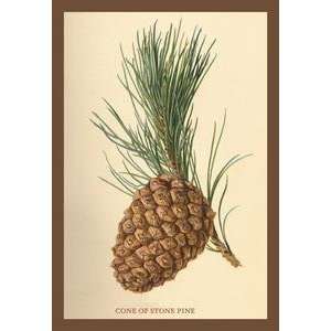 Paper poster printed on 20 x 30 stock. Cone of a Stone Pine  